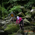 8-25 am 10-20-06-麻荖漏步道.JPG